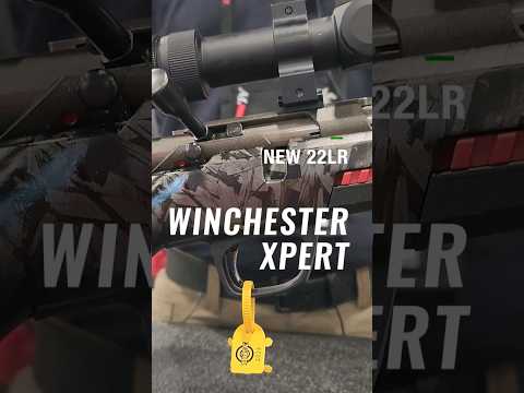 Winchester Wildcat Xpert