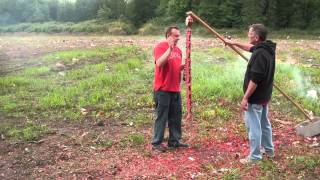 Firecracker Celebration Roll