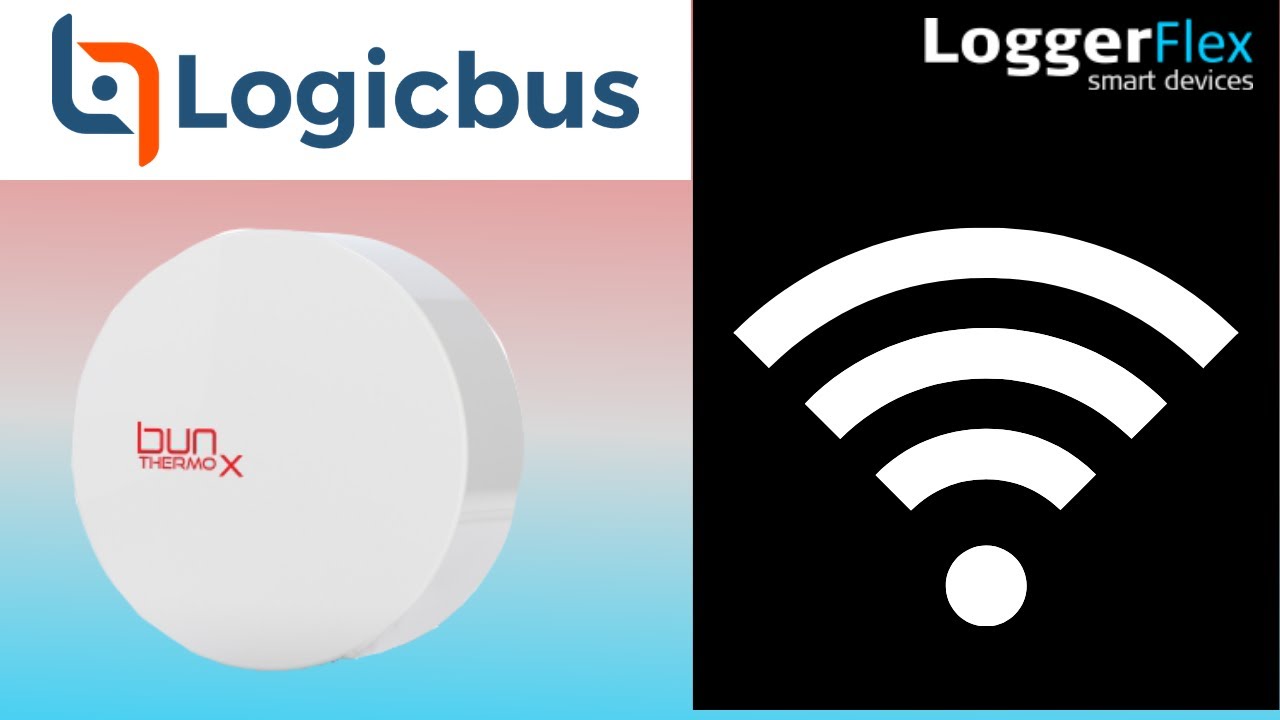 Video LoggerFlex