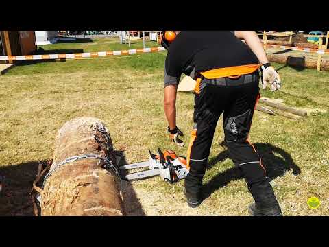 Live auf der Demopark in Eisenach vergleich zwischen Stihl MSA 200 C-B, MS 201 C-M und MSA 220 C