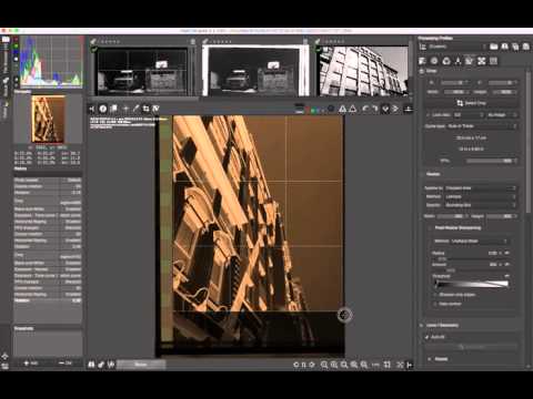 Rawtherapee DSLR film scanning workflow v1.0