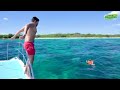 ISLA CATALINA EN PUNTA CANA HAPPY TOURS