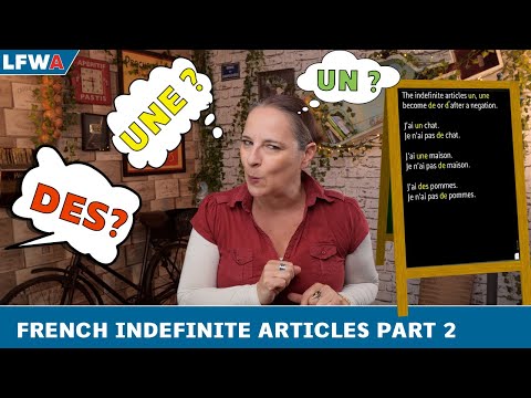 Practise your French indefinite articles Part 2