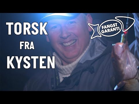 Torskefiskeri fra kysten med Fangstgaranti