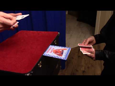 Little Bunny’s Card Trick – Small by Bill Goldman (3)