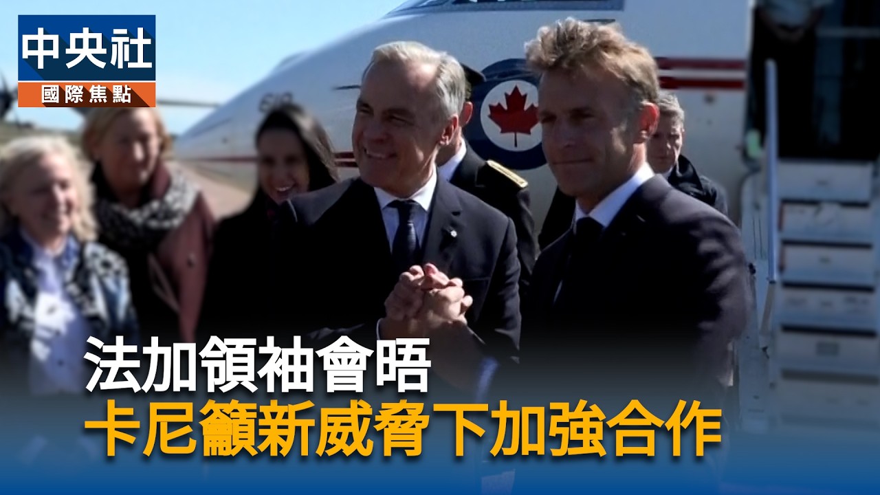 法加領袖會晤　卡尼籲新威脅下加強合作