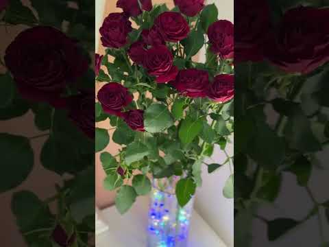 Видео превью