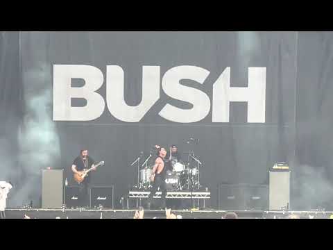 BUSH "Little Things" live by Rock im Park 2022. Gavin Rossdale was getting very close to his Fans!