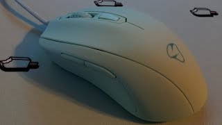 Revisiting the Mionix Castor