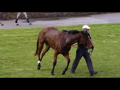 Belmont Park, 04/06/2016 - Race 6 - COOL PASSION - Justin Warwick & Lucy Warwick