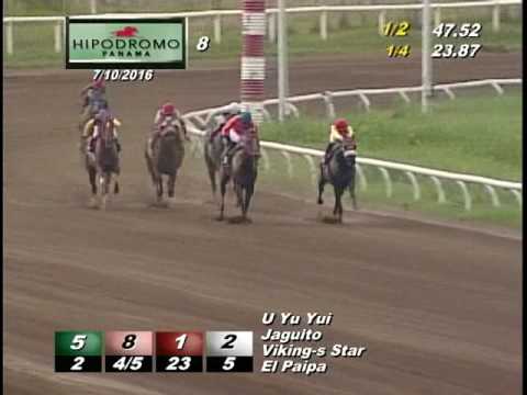 8VA CARRERA DOMINGO 10 DE JULIO 2016 HPR