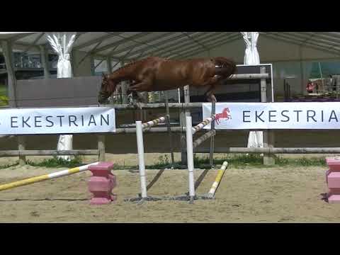 Lot 15   Kannan x Quickstar