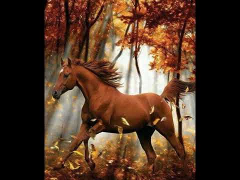 D-Kristo - Caballo (Original Mix)(2007)