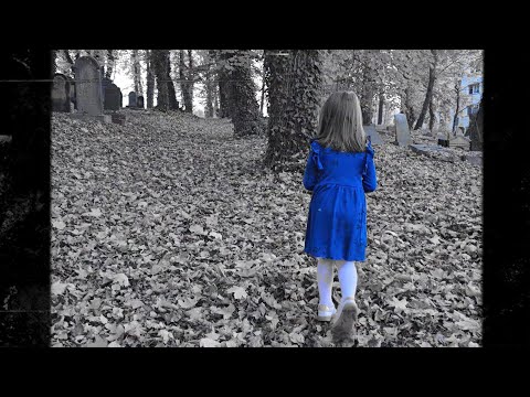 Sektorowa Sekta - Tren (feat. BiBi)