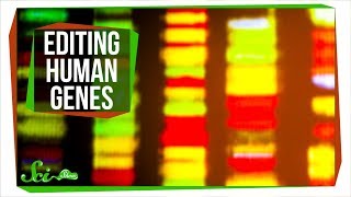 Editing Genes Inside the Human Body