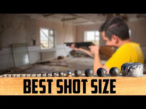 The Best 12 Gauge For Home Defense
