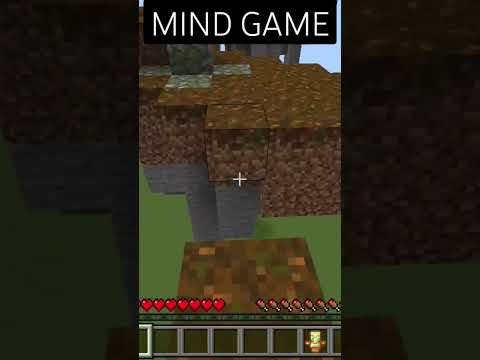 Shyam Mundhe's Insane Minecraft MLG Music Cover