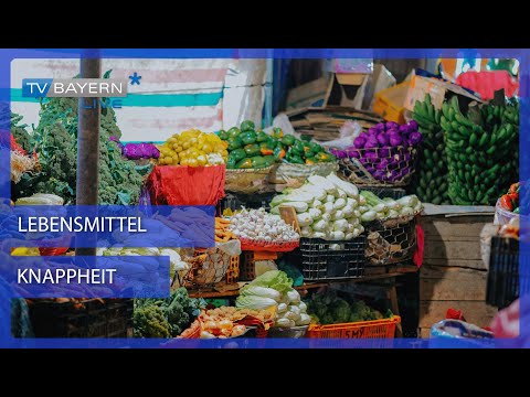 Lebensmittelnot bei der Tafel