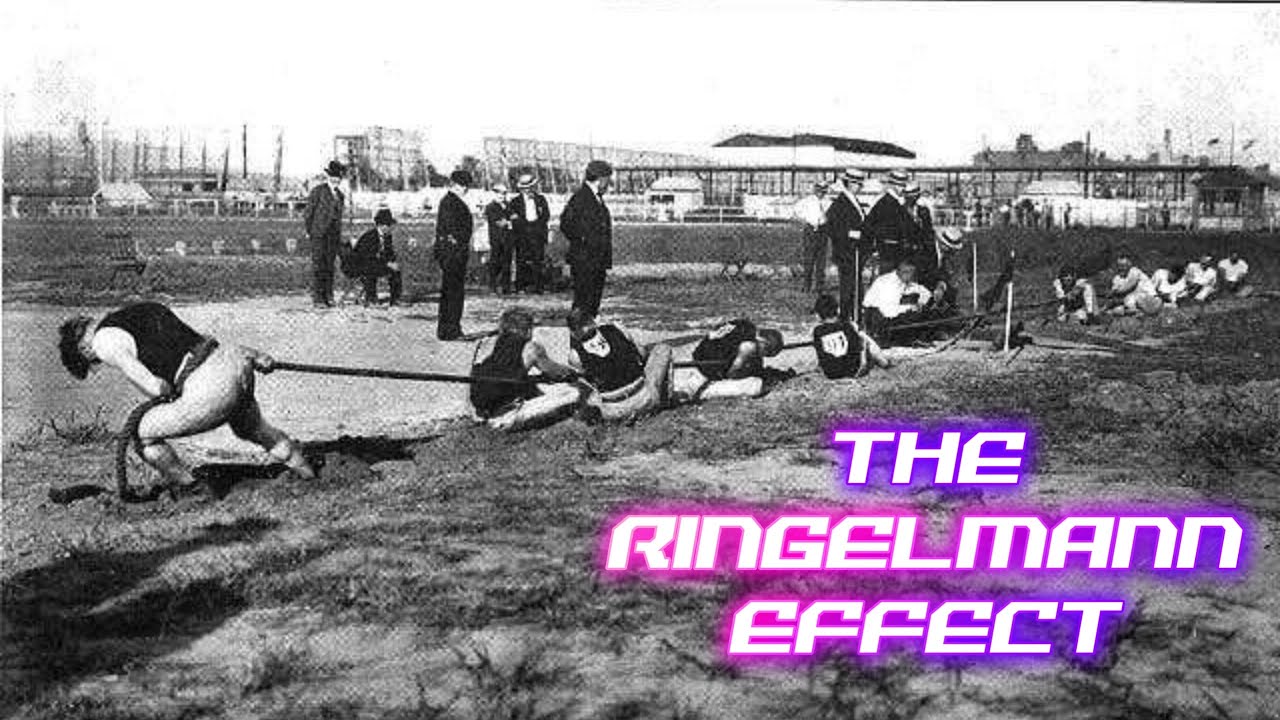 The Shocking Science behind Lazy Teams