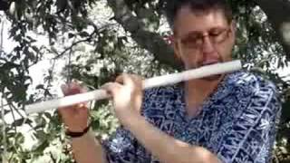 Tipple Flute:The Maid of Mount Kisco (Irish/American) Reel