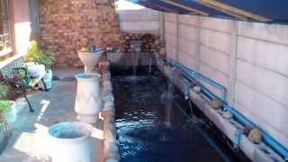 preview picture of video 'April 2013 - Koi Pond of George and Lourens Greenaway: 9000 - 10 000l est'