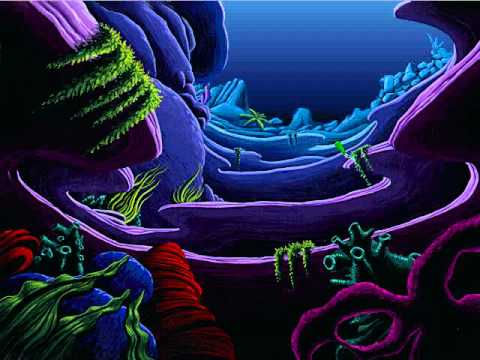 Freddi Fish and The Case of The Missing Kelp Seeds Full Playthrough - YouTube