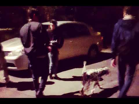 Mos347 ft 7Se - Desic Denic