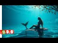 The Little Mermaid Review Plot In Hindi Urdu
