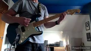 Flat Out Fucked - Mudhoney - Guitar Cover