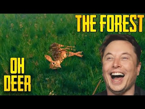 Hunters Delight - S6 EP02 | The Forest
