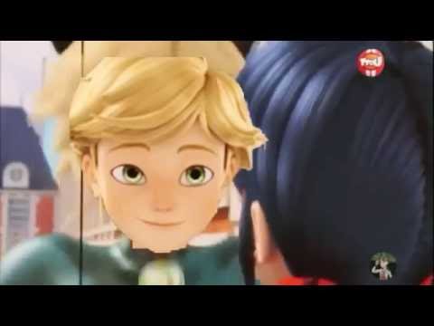 Chat Noir Dna Miraculous Ladybug Español Amino