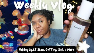 Weekly Vlog | Holiday Light Show, Catching A Cold, Talking Minksmas & New Goodies | Minksmas Day 7 🎁