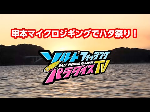 串本マイクロジギングでハタ祭り！（ソルパラTV・第17回2021年1月21日放送）