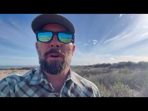 Why Small Business Owners Switch to New Merchant Services: Insights from an Expert