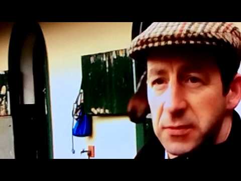 Lord Windermere Cheltenham Gold Cup Winner 2014