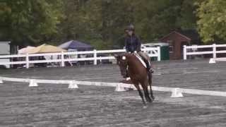 preview picture of video 'Right Above It First Place Open Training Radnor HT'