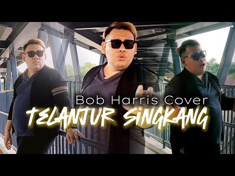 Swaylin - Telanjur Singkang - Cover by Bob Harris #tiktokviral #laguiban #cover #dangdutremix