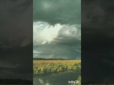 Friday Fugue - Trevor Garrod.mp3HD#music