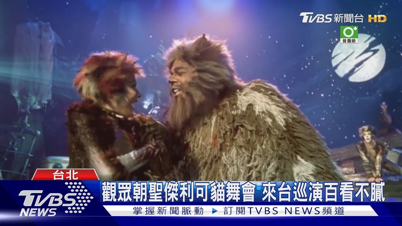 觀眾朝聖傑利可貓舞會 來台巡演百看不膩