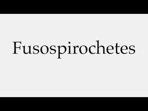 How to Pronounce Fusospirochetes