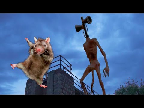 Siren Head VS Miss Hamster