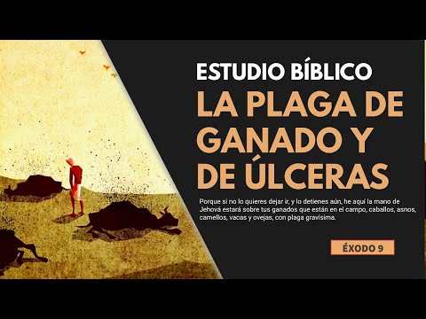 , title : 'Estudio Bíblico | La plaga en el ganado y la plaga de úlceras - REFLEXIÓN.'