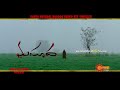 Masooda World Television Premiere Movie Promo 5th Mar At 6 00 PM Gemini TV