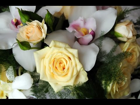 Oprawa muzyczna ślubu - Najpiękniejsza Pieśń ślubna