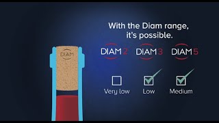 DIAM Permeability Cork Options for Winemakers