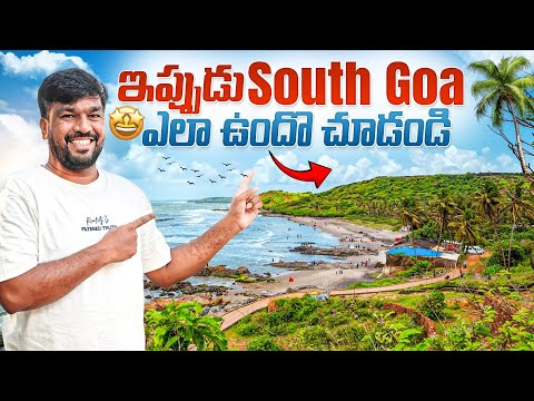 Exploring South Goa In 2025 December || South Goa Budget Tour Plan || South Goa Tourist Places