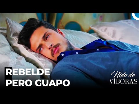 Hombre Para Casarse; Ejder - Nido De Víboras