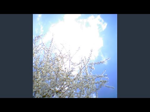 Video thumbnail for Auroraborealis