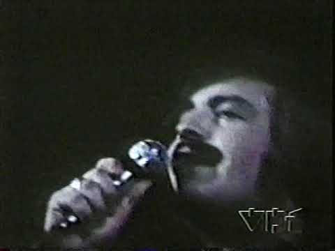 Turtles - She'd Rather Be With Me