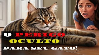 Estresse: O Perigo Oculto Para Seu Gato!